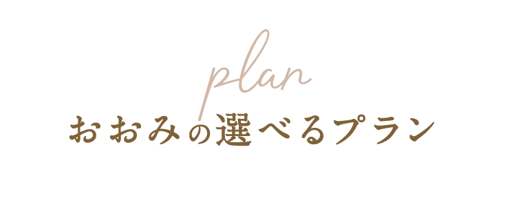 おおみの選べるプラン