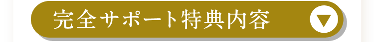 完全サポート特典内容を見る