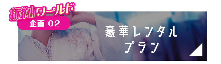 企画2 豪華レンタルプラン