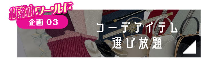 企画3 コーデアイテム選び放題