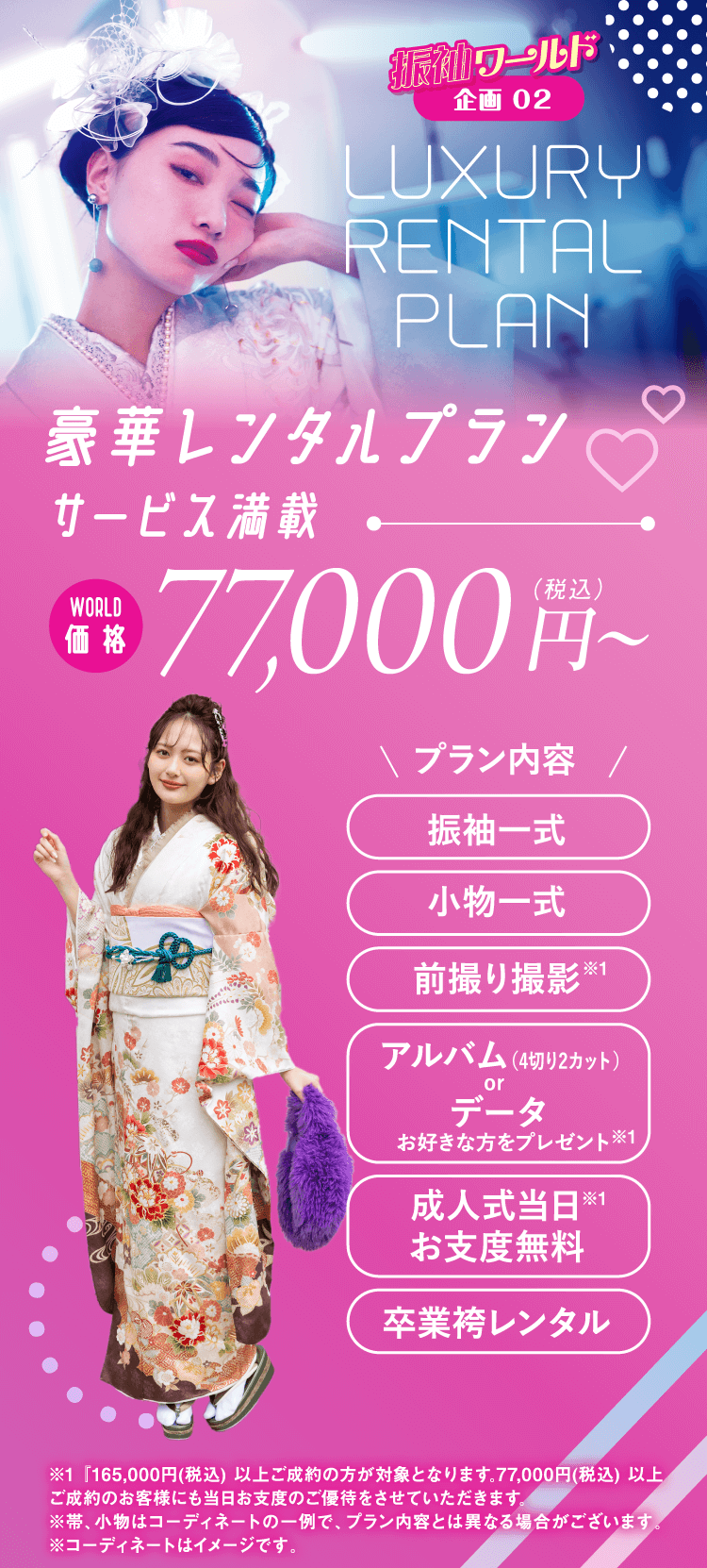 企画2 豪華レンタルプラン