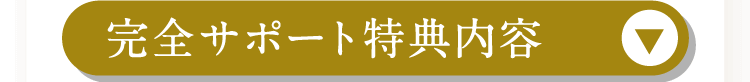 完全サポート特典内容
