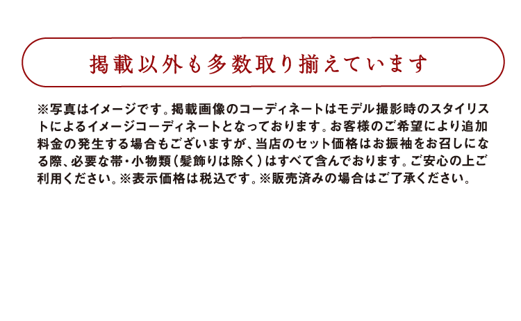 掲載以外も多数取り揃えています