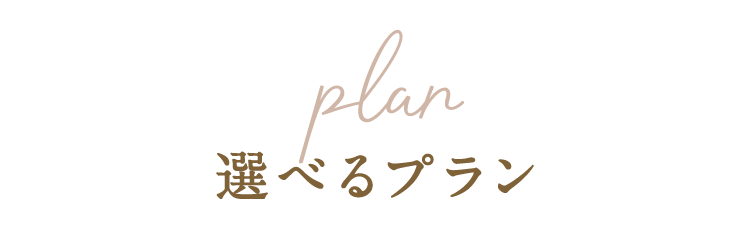 おおみの選べるプラン