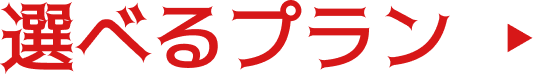 選べるプラン