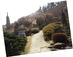 花見山公園