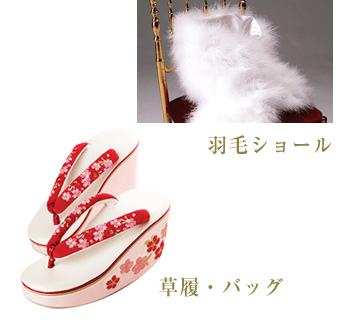 羽毛ショールと草履・バック